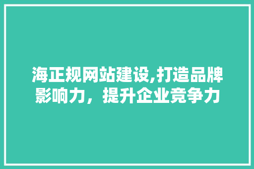 海正规网站建设,打造品牌影响力，提升企业竞争力