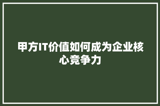 甲方IT价值如何成为企业核心竞争力 后端技术