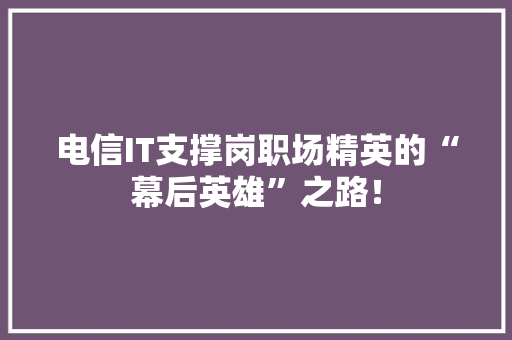 电信IT支撑岗职场精英的“幕后英雄”之路！