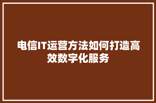 电信IT运营方法如何打造高效数字化服务 项目报告