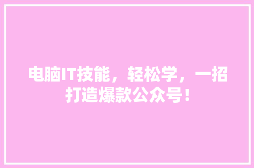 电脑IT技能，轻松学，一招打造爆款公众号！ 项目报告