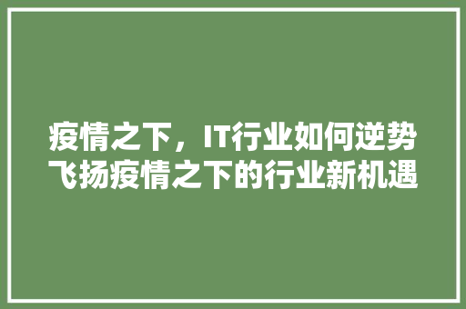 疫情之下，IT行业如何逆势飞扬疫情之下的行业新机遇！