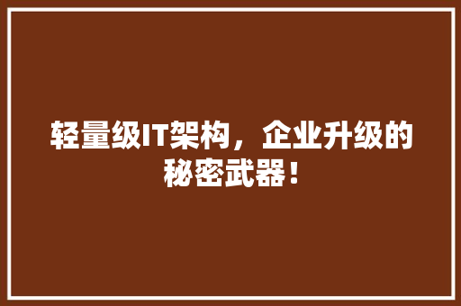 轻量级IT架构，企业升级的秘密武器！
