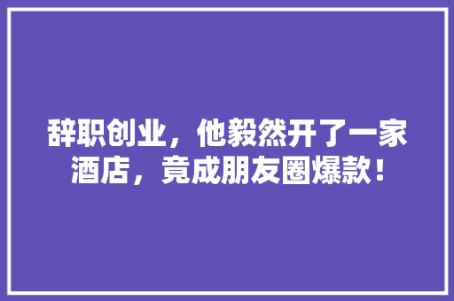 辞职创业，他毅然开了一家酒店，竟成朋友圈爆款！ 响应式设计
