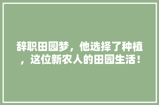 辞职田园梦，他选择了种植，这位新农人的田园生活！
