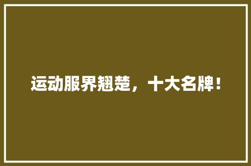 运动服界翘楚，十大名牌！