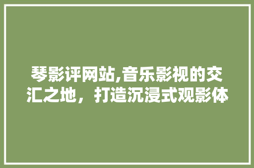 琴影评网站,音乐影视的交汇之地，打造沉浸式观影体验