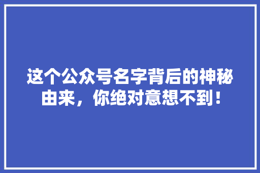 这个公众号名字背后的神秘由来，你绝对意想不到！