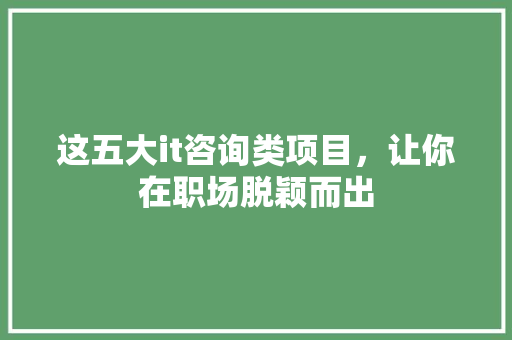 这五大it咨询类项目，让你在职场脱颖而出