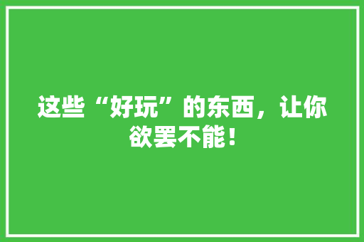 这些“好玩”的东西，让你欲罢不能！