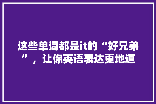 这些单词都是it的“好兄弟”，让你英语表达更地道 缓存Redis