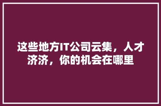 这些地方IT公司云集，人才济济，你的机会在哪里