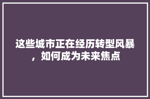 这些城市正在经历转型风暴，如何成为未来焦点 响应式设计