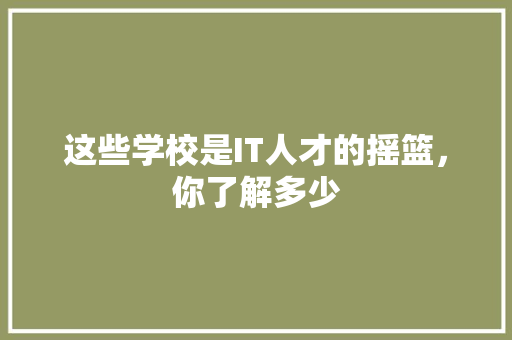 这些学校是IT人才的摇篮，你了解多少