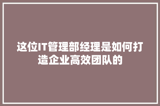这位IT管理部经理是如何打造企业高效团队的