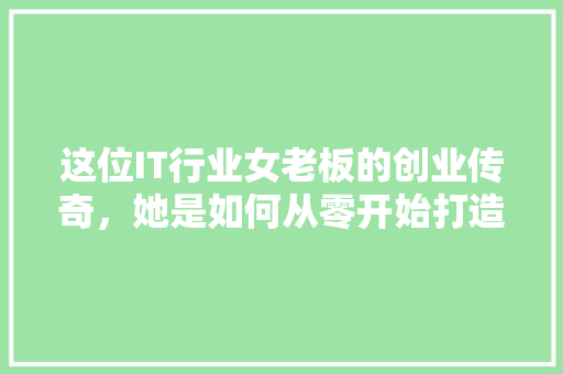 这位IT行业女老板的创业传奇，她是如何从零开始打造千万级企业的