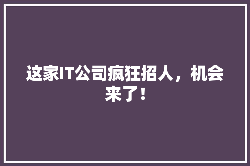 这家IT公司疯狂招人，机会来了！ 商务信函