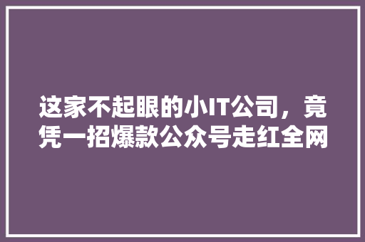 这家不起眼的小IT公司，竟凭一招爆款公众号走红全网 缓存Redis