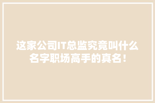 这家公司IT总监究竟叫什么名字职场高手的真名！