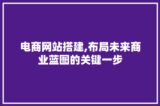 电商网站搭建,布局未来商业蓝图的关键一步 响应式设计