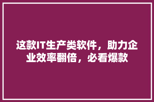 这款IT生产类软件，助力企业效率翻倍，必看爆款