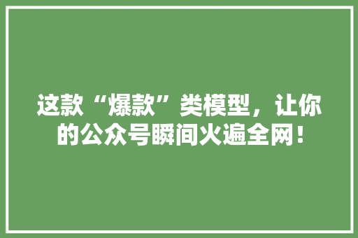 这款“爆款”类模型，让你的公众号瞬间火遍全网！ 网站建设