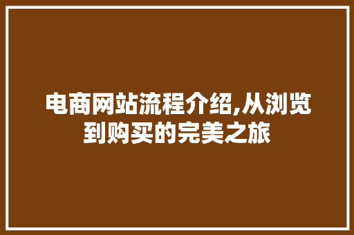 电商网站流程介绍,从浏览到购买的完美之旅 响应式设计