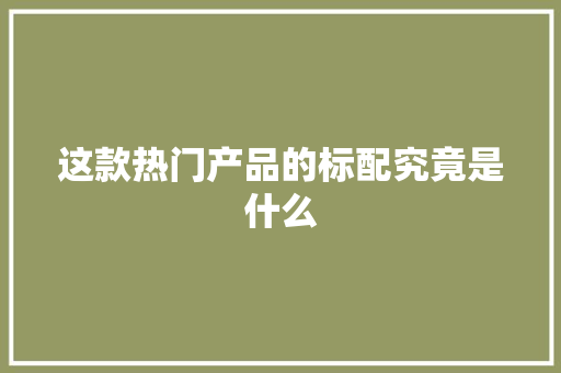 这款热门产品的标配究竟是什么 市场营销范文