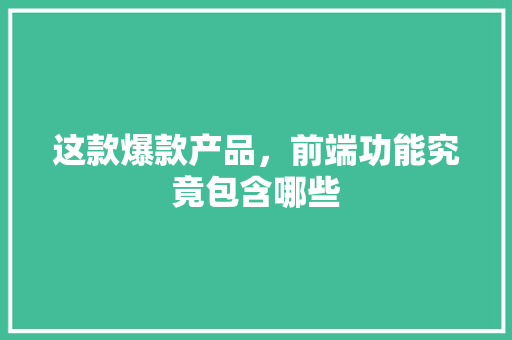 这款爆款产品，前端功能究竟包含哪些 项目报告