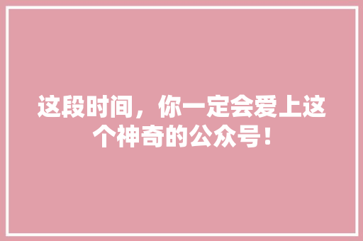 这段时间，你一定会爱上这个神奇的公众号！