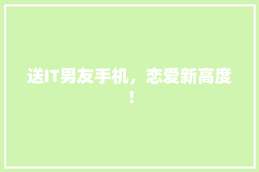 送IT男友手机，恋爱新高度！