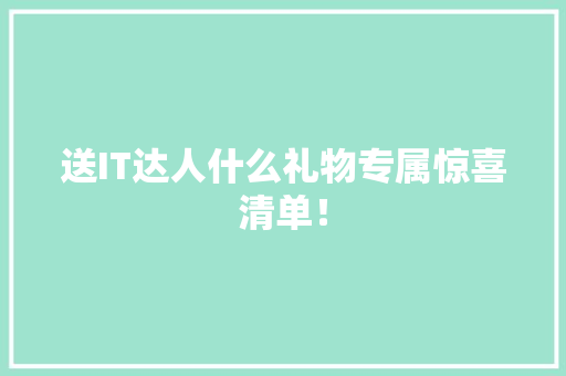 送IT达人什么礼物专属惊喜清单！ 项目报告