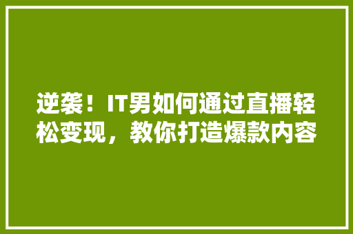 逆袭！IT男如何通过直播轻松变现，教你打造爆款内容！ 响应式设计