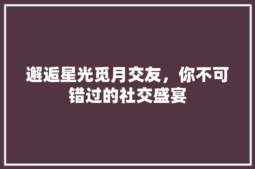 邂逅星光觅月交友，你不可错过的社交盛宴 MySQL