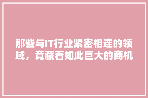 那些与IT行业紧密相连的领域，竟藏着如此巨大的商机！ 项目报告