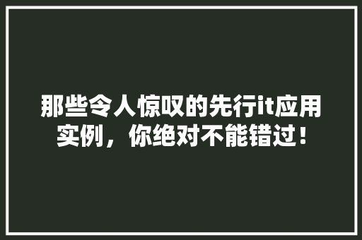那些令人惊叹的先行it应用实例，你绝对不能错过！ 项目报告