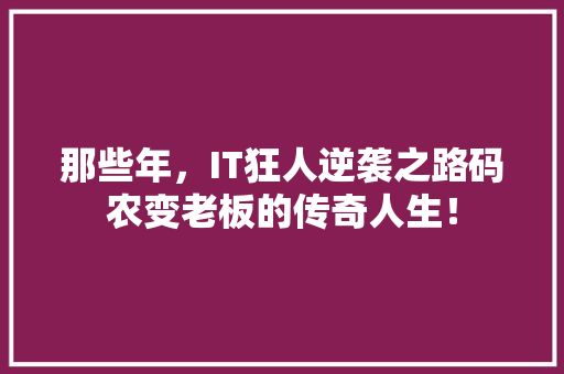 那些年，IT狂人逆袭之路码农变老板的传奇人生！