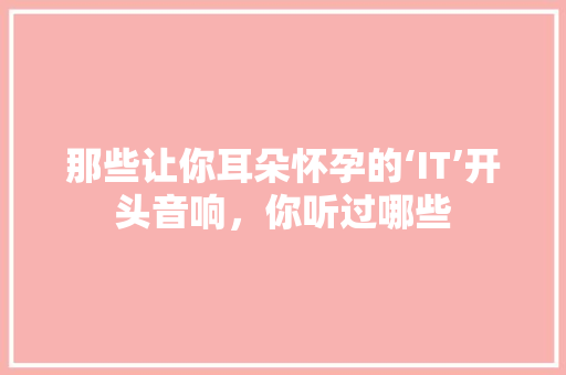 那些让你耳朵怀孕的‘IT’开头音响，你听过哪些