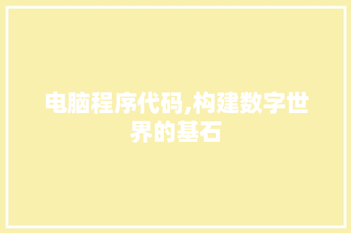 电脑程序代码,构建数字世界的基石 缓存Redis