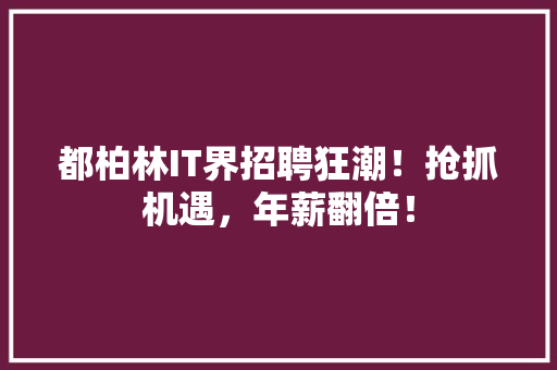 都柏林IT界招聘狂潮！抢抓机遇，年薪翻倍！