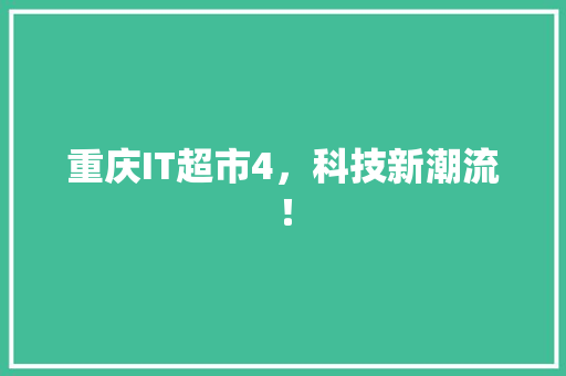 重庆IT超市4，科技新潮流！ 项目报告