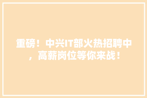 重磅！中兴IT部火热招聘中，高薪岗位等你来战！