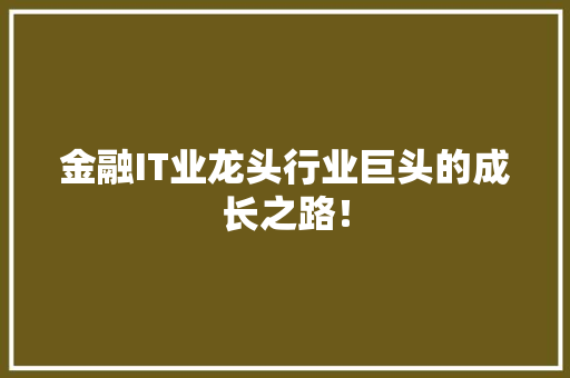 金融IT业龙头行业巨头的成长之路！