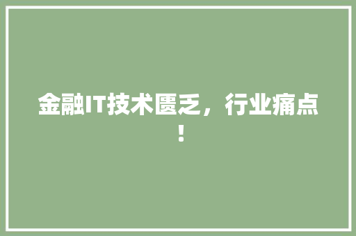 金融IT技术匮乏，行业痛点！ 网站建设