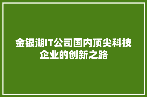 金银湖IT公司国内顶尖科技企业的创新之路