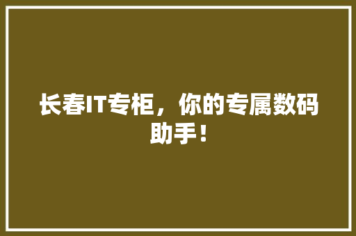 长春IT专柜，你的专属数码助手！