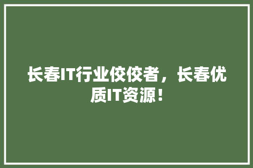 长春IT行业佼佼者，长春优质IT资源！ 缓存Redis