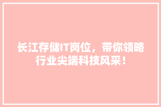 长江存储IT岗位，带你领略行业尖端科技风采！