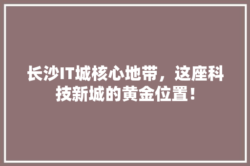 长沙IT城核心地带，这座科技新城的黄金位置！