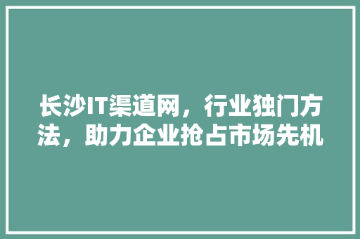 长沙IT渠道网，行业独门方法，助力企业抢占市场先机！